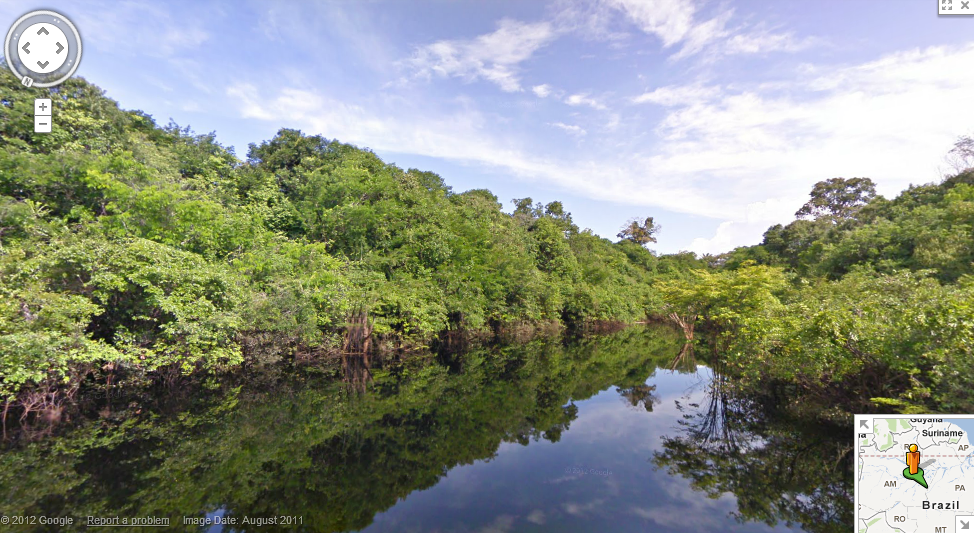 Google maps le fleuve amazon en mode street view