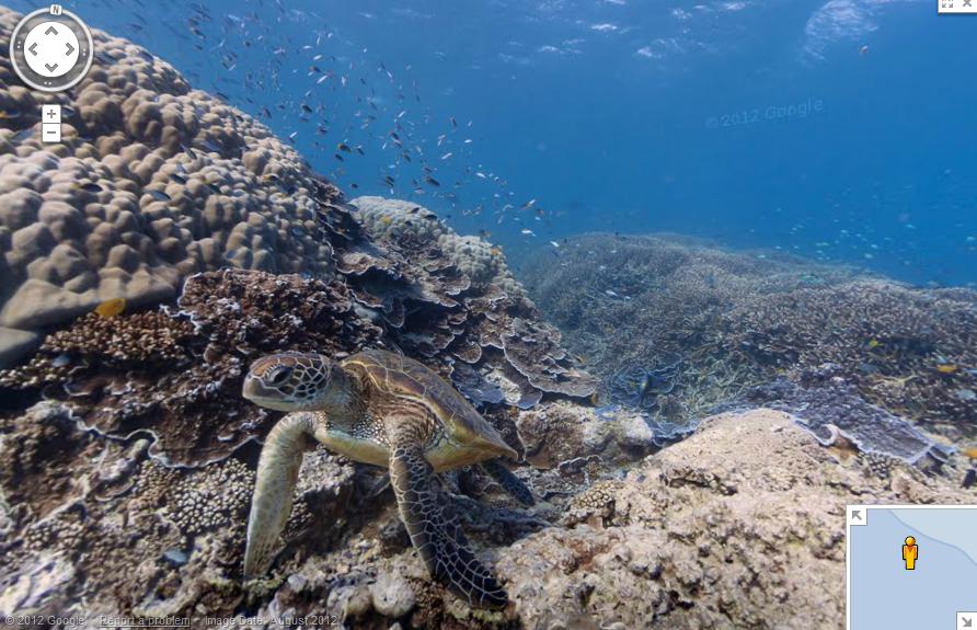 Google explore les fonds sous marin en mode street view