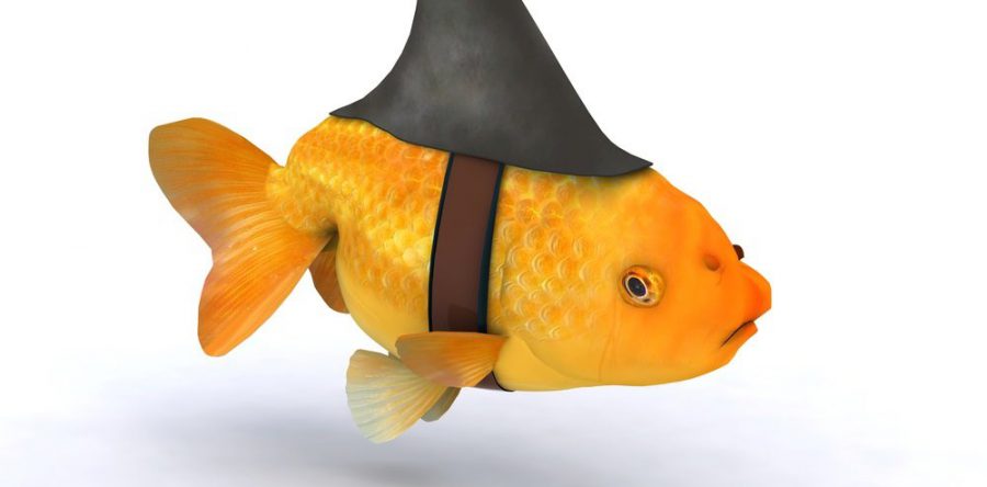 Après les Fake News, les Fake Brands