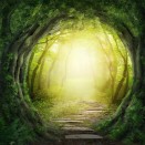 Connaissez  vous le Fog Computing ?  3 raisons de s’y intéresser