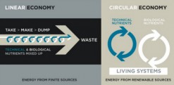 Etude JWT : Economie circulaire, quelles opportunités pour les marques ?