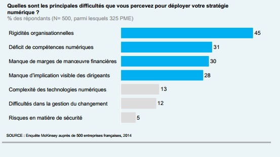 Etude McKinsey les principaux freins au développement numérique des entreprises