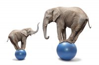 Observatoire SRI- Udecam-PWC 2016 : Un marché à deux vitesses et deux éléphants