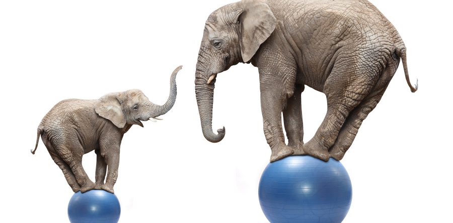 Observatoire SRI- Udecam-PWC 2016 : Un marché à deux vitesses et deux éléphants