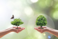 Etude : +169% de visites sur les sites de sharing economy