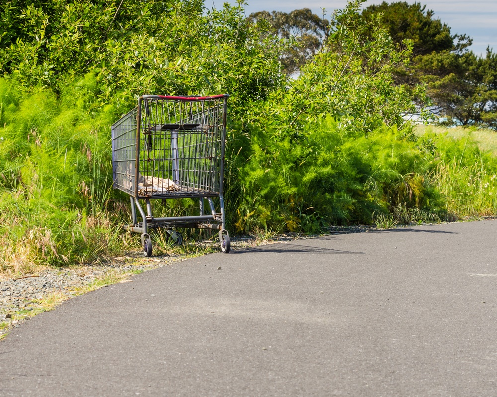 Credits Zig Mountain Art