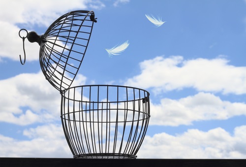 Paypal se libère d'Ebay