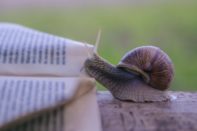 Une mémoire d’escargot et 7 pépites digitales