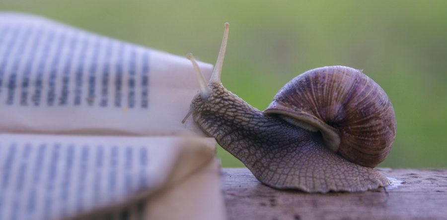Une mémoire d’escargot et 7 pépites digitales