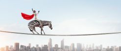 Vis ma vie de CMO : 15 phrases qu’une directrice marketing ne dira jamais en public en 2017