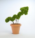 Etude IAB Europe : + 57% pour le programmatique display en un an, + 240% pour le mobile