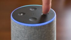 Comment une entreprise peut-elle développer sa présence sur un assistant vocal ?