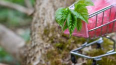 Trois initiatives Ecommerce pour respecter l’environnement