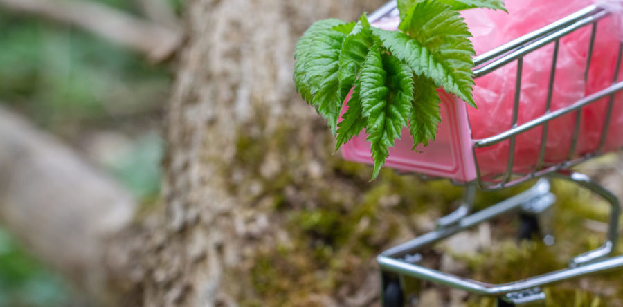 Trois initiatives Ecommerce pour respecter l’environnement