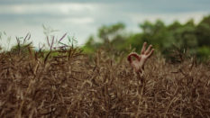 Financement participatif : 4 plateformes d’Economie Sociale Solidaire et écologique