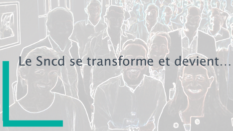 Le SNCD se transforme et devient la DMA France