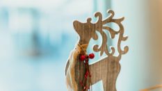 Enquête sur les intentions d’achat des internautes pour Noël (Baromètre Médiamétrie)