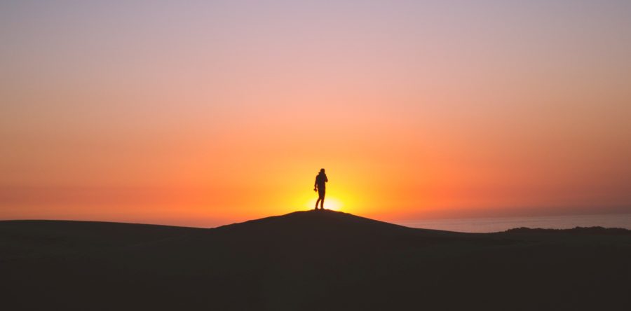 Le soleil se lève sur les marketplaces B2B (Roland Berger)
