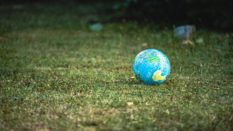 Les Français et le développement durable : je t’aime moi non plus ? (Ifop x Ilek)