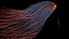 La vision unique du client ? Les éléments clés pour comprendre