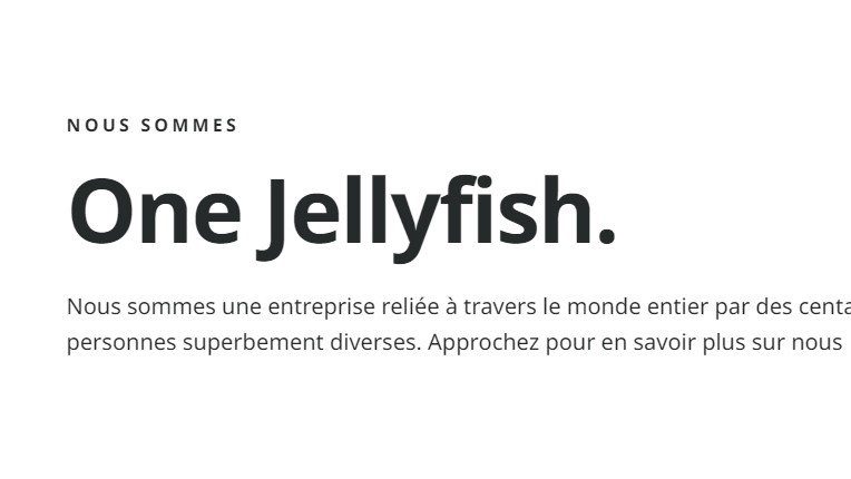 Jellyfish acquiert cinq entreprises et poursuit son expansion avec de nouvelles expertises digitales
