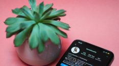 Médias sociaux : Les investissements publicitaires progressent de plus de 50% (Socialbakers)