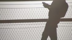 Google et Apple unis contre le covid  : l’alliance inédite en sept points (pourquoi nous sommes concernés)