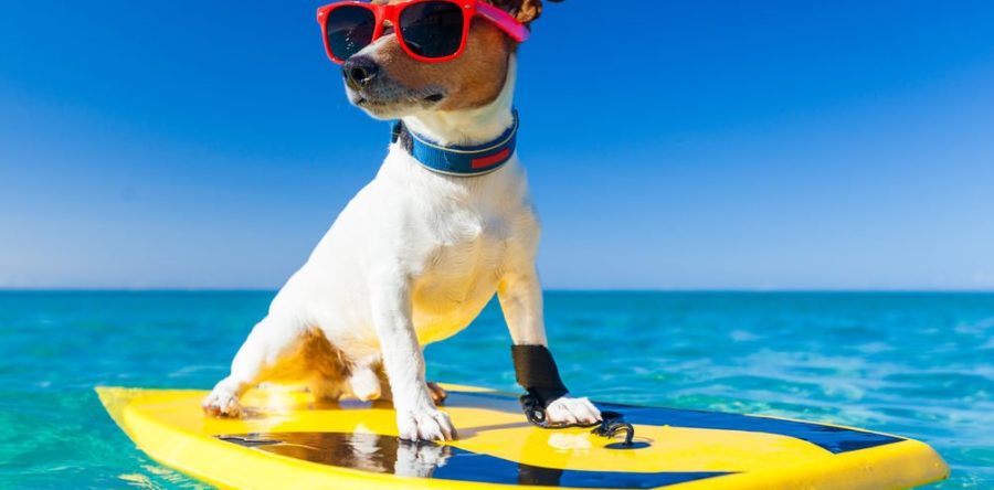 Trois startups françaises qui travaillent pour vos vacances…