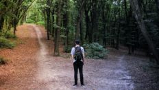 Ecologie : 78% des salariés choisiraient, à offres équivalentes, de rejoindre une entreprise engagée (étude)