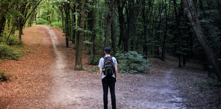 Ecologie : 78% des salariés choisiraient, à offres équivalentes, de rejoindre une entreprise engagée (étude)