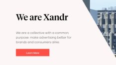 Xandr annonce son support des identifiants proposés par l’écosystème AdTech