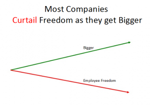 culture netflix l'importance de la liberté des employés