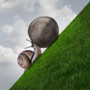 Et si l’on parlait de la ténacité…Et 7 autres pépites digitales