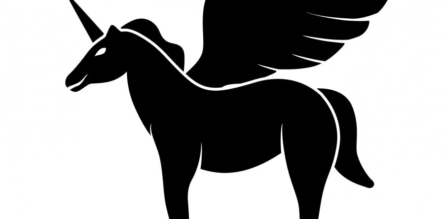 Bulle ou pas bulle ? L’irrésistible multiplication des Licornes (infographie)