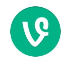 Vine : qui sont les Français les plus populaires  ?