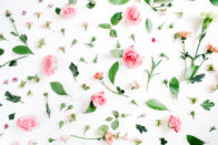 Tendances du marketing olfactif : on vous met au parfum