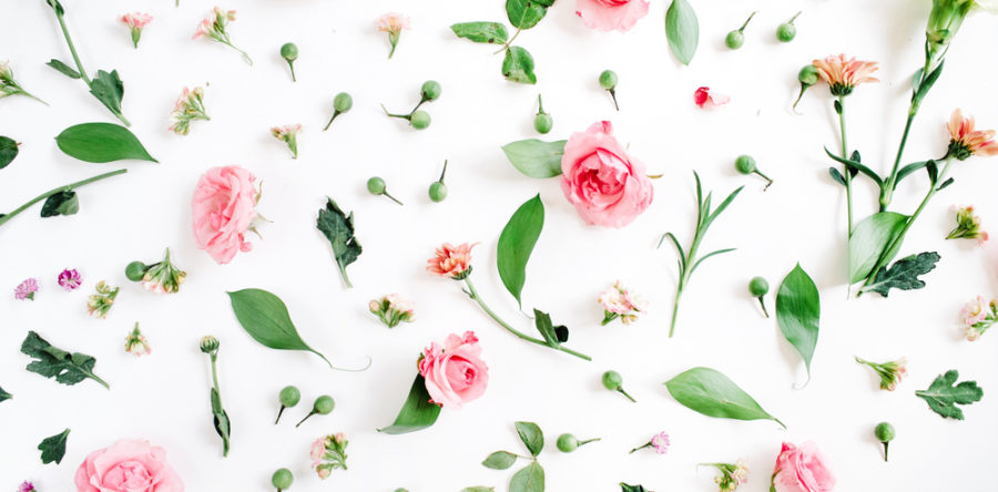 Tendances du marketing olfactif : on vous met au parfum