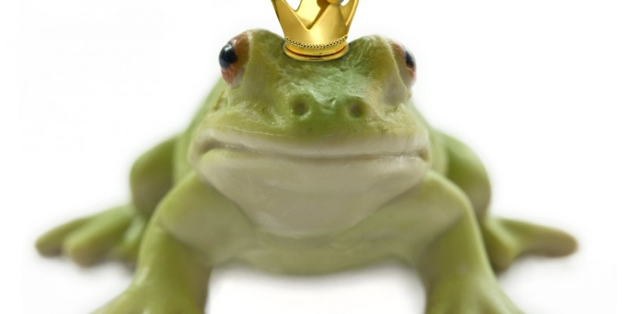 Où va la pub ? 5 réflexions sur la grande hybridation