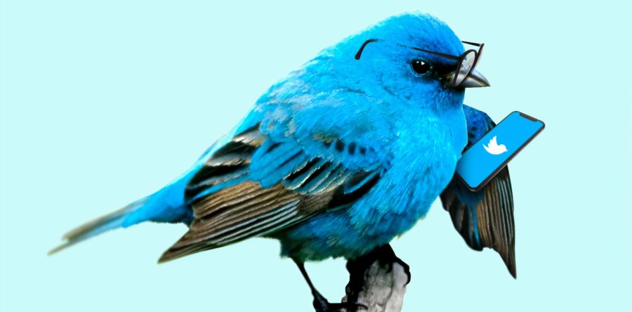 6 formats originaux pour dynamiser son compte Twitter !