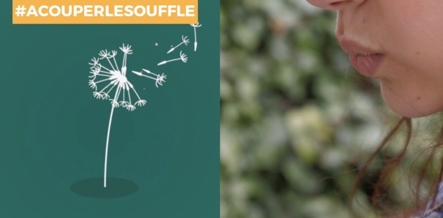 Vaincre la mucoviscidose : le micro pour souffler dans les aigrettes d’un pissenlit